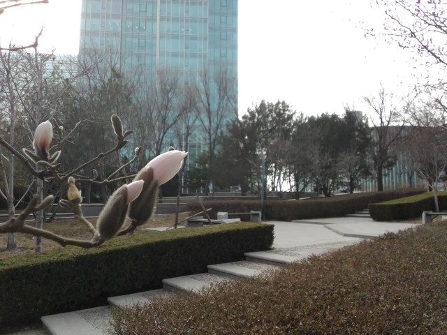 锋尚mini评测:3GB RAM的千元高颜值手机