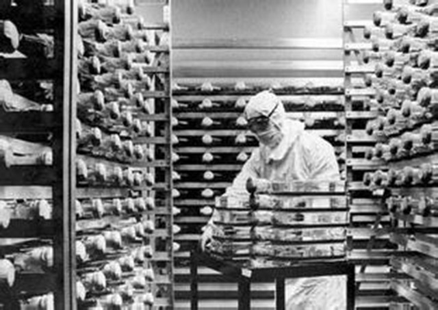 科技史上的4月23日 可口可乐上市新产品 