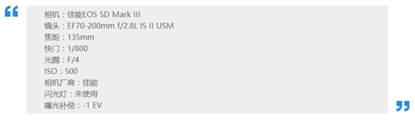 华为用单反照片宣传P9 官方回应致歉