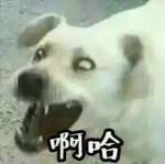 装x必备 如何让人觉得你很懂手机？