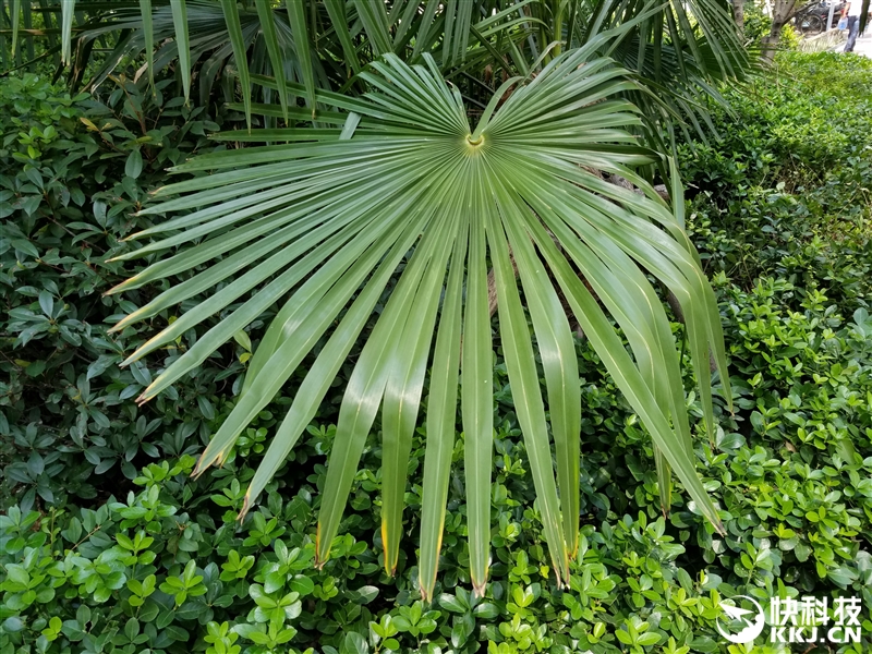 配得上完美二字！三星机皇Galaxy Note 7最深度评测