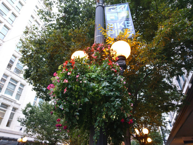 评索尼Xperia X Compact:尺寸…很重要? 