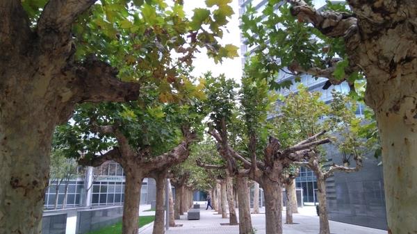 小米MIX体验：好看又好用