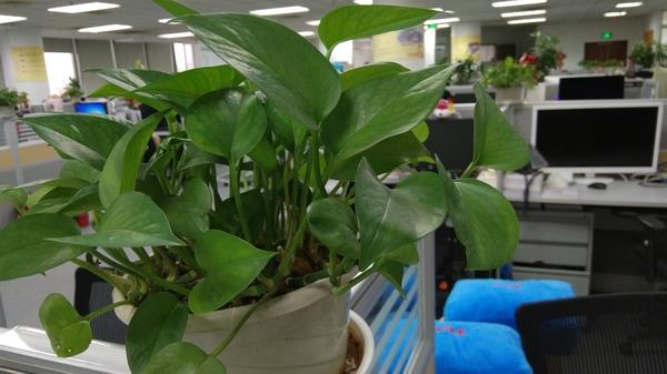 小米MIX体验：好看又好用