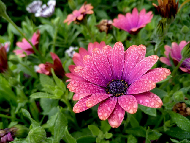 极致拍摄 OPPO探寻中国最美风光即将开启 